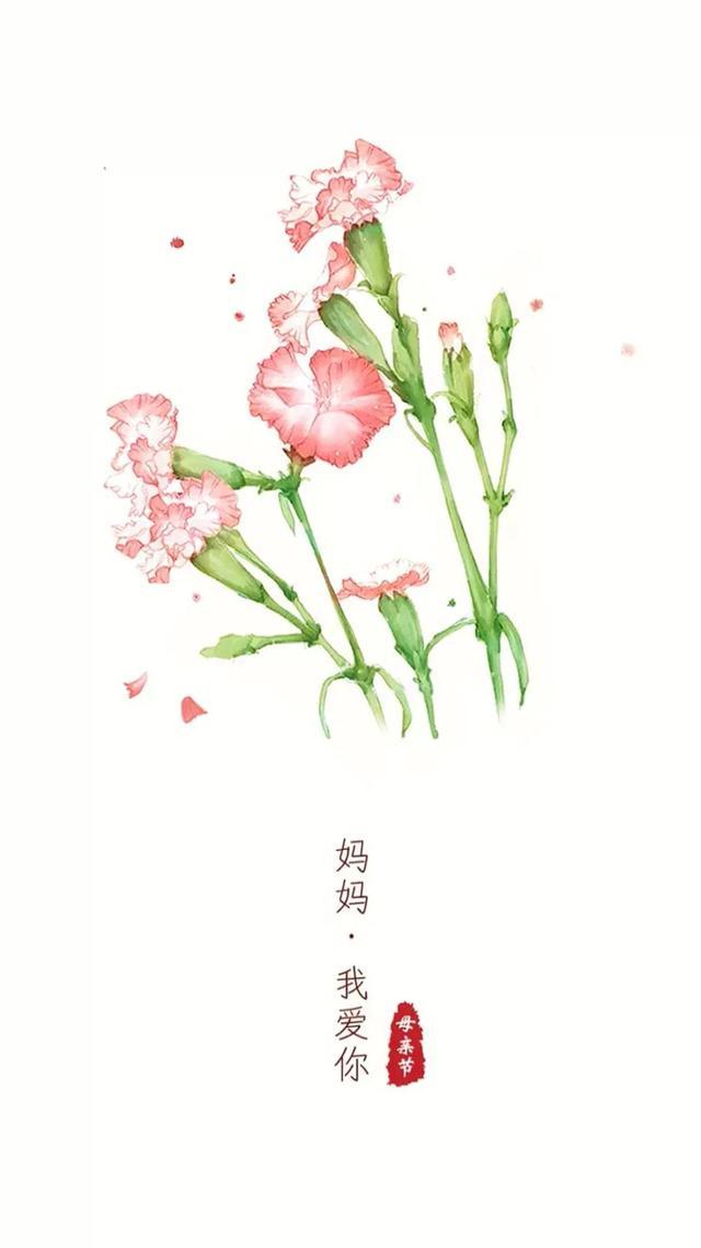 节日壁纸｜母亲节快乐（感恩母亲节最新图片）
