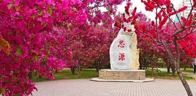 中国农业大学排名居领域第一（中国所有大学排名最新）