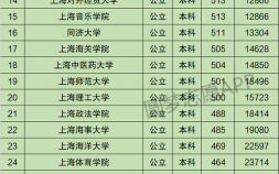 上海名牌大学录取分数线是多少（上海40所本科大学分数线排名发布）