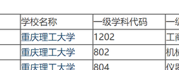 重慶理工大學是985還是211（重慶理工大學的院校介紹）