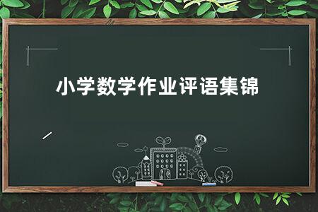 小学数学作业评语集锦