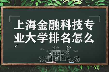 上海金融科技专业大学排名怎么样 录取分数线是多少 