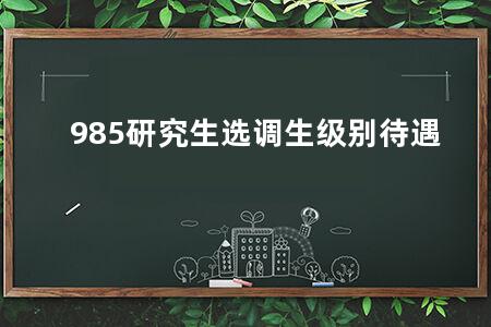 985研究生选调生级别待遇