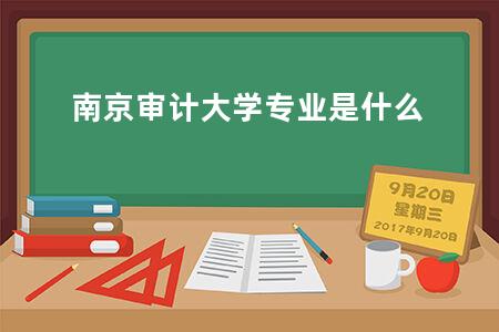 南京审计大学专业是什么