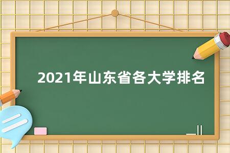 2021年山东省各大学排名