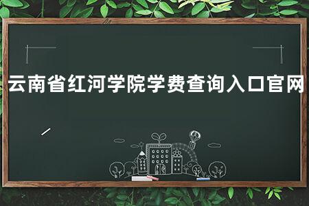 云南省红河学院学费查询入口官网