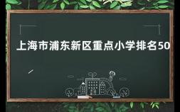上海市浦东新区重点小学排名50 上海浦东新区小学梯队排名