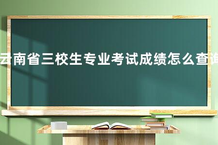 云南省三校生专业考试成绩怎么查询