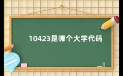 10423是哪个大学代码 10384学校代码是哪个大学