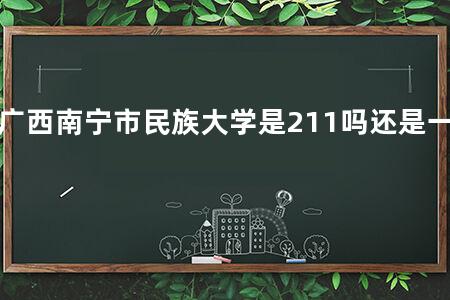 广西南宁市民族大学是211吗还是一本