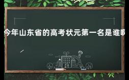 今年山东省的高考状元第一名是谁啊 88年北京高考状元是谁