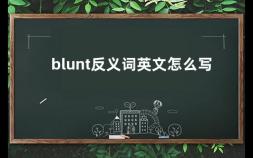 blunt反义词英文怎么写 beautiful的反义词怎么说