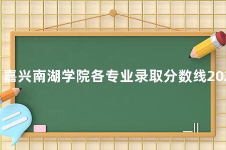 嘉兴南湖学院各专业录取分数线2020